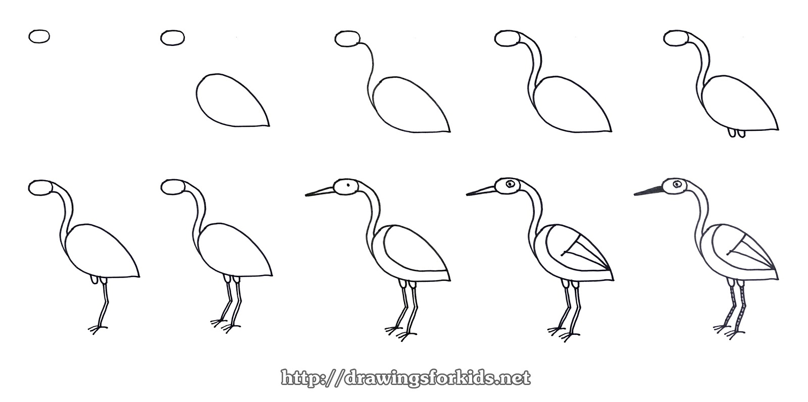 How to draw a Stork